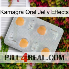 Kamagra Oral Jelly Effects 24
